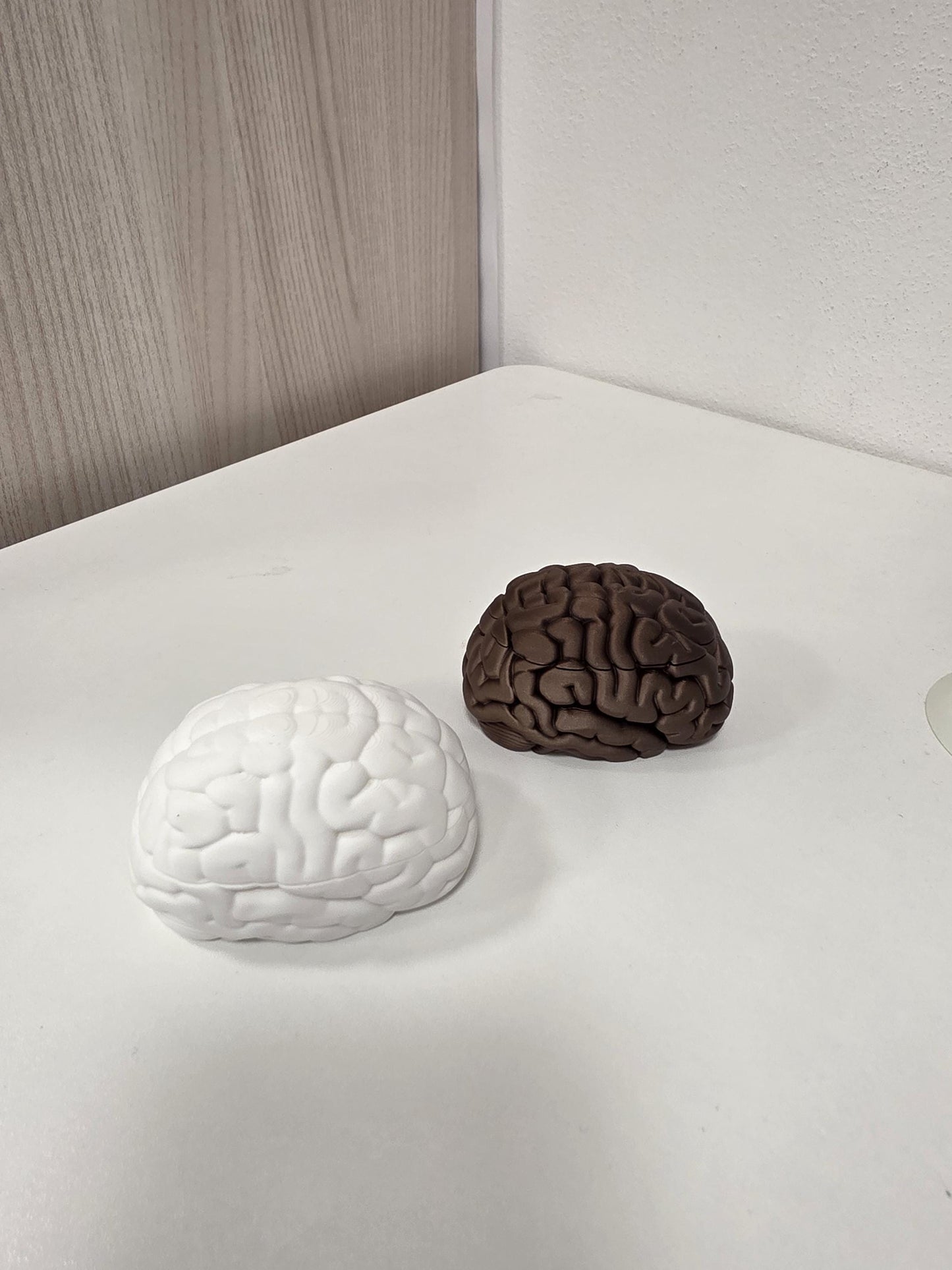 Scatola Cervello 3D con Coperchio Magnetico | Brain Box Portagioie e Scatola dei Ricordi