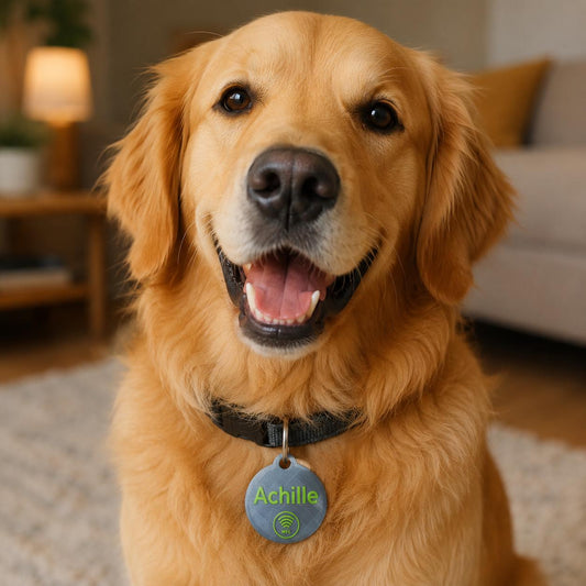 Targhetta Smart NFC personalizzata per cani e gatti