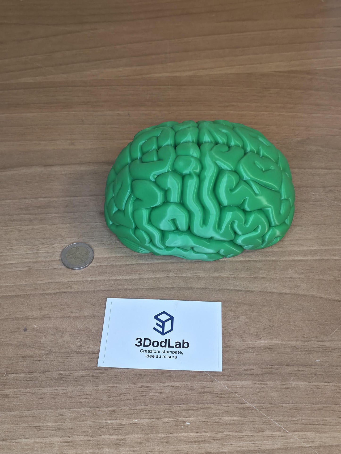 Scatola Cervello 3D con Coperchio Magnetico | Brain Box Portagioie e Scatola dei Ricordi