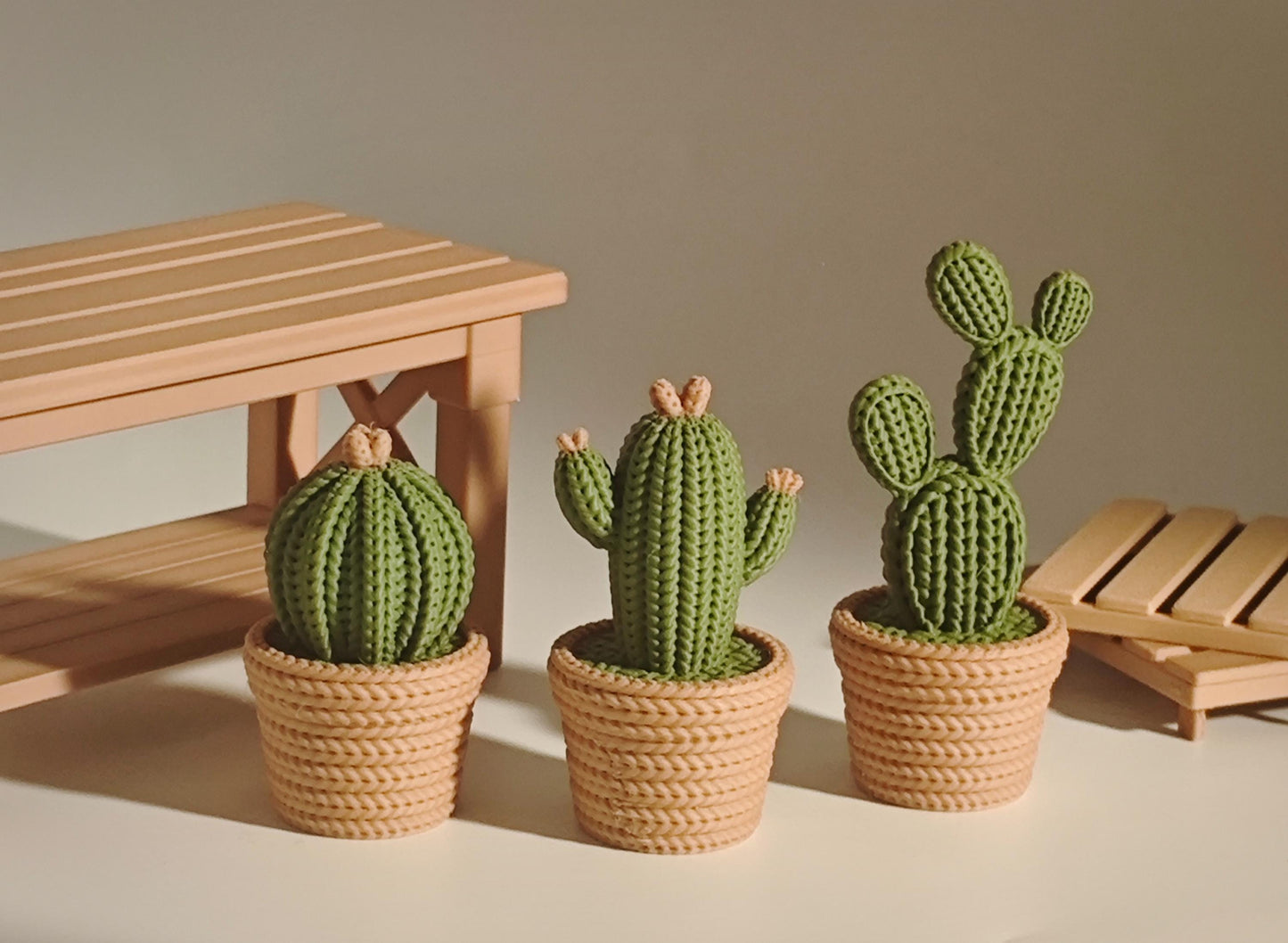 Cactus decorativi 3D effetto maglia