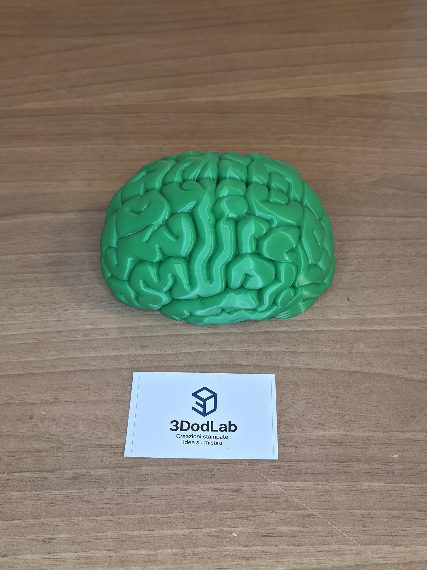 Scatola Cervello 3D con Coperchio Magnetico | Brain Box Portagioie e Scatola dei Ricordi
