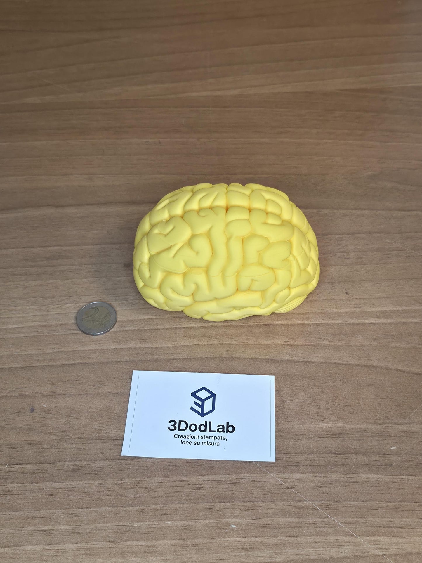 Scatola Cervello 3D con Coperchio Magnetico | Brain Box Portagioie e Scatola dei Ricordi