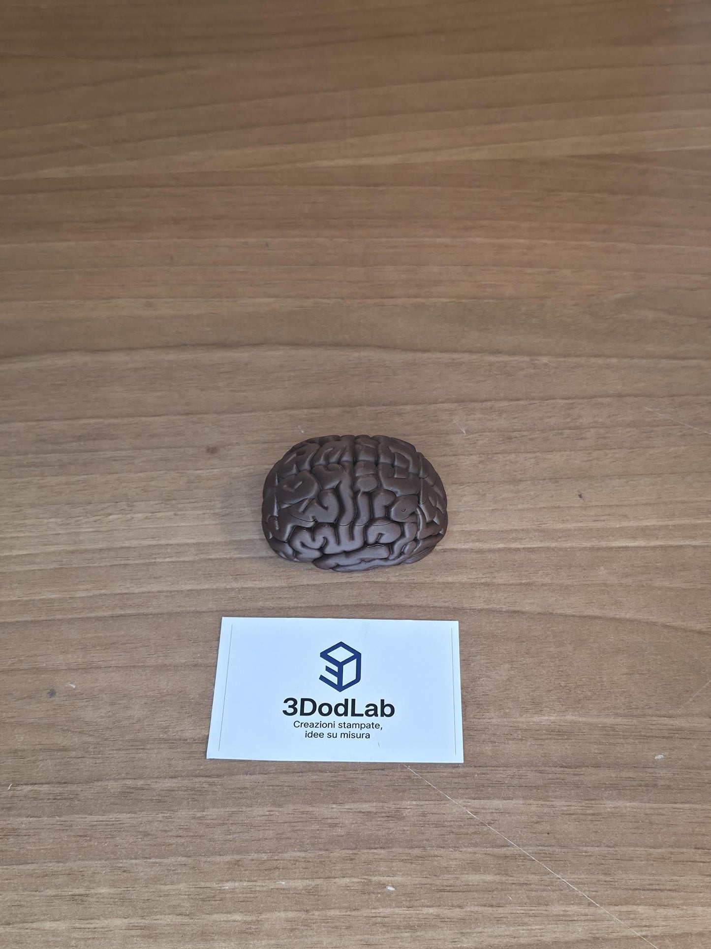 Scatola Cervello 3D con Coperchio Magnetico | Brain Box Portagioie e Scatola dei Ricordi